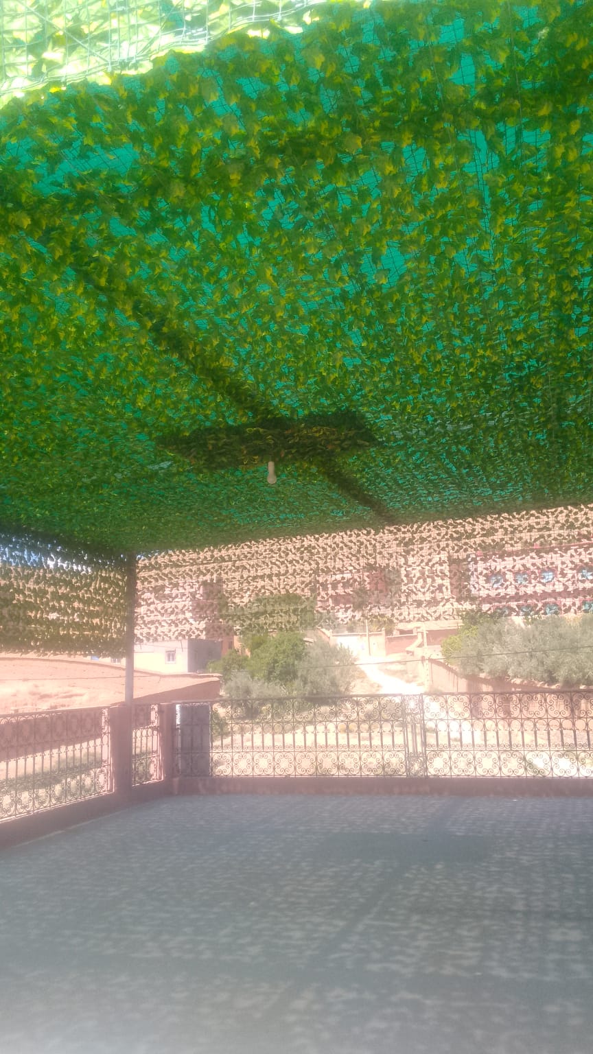 Terrasse avec pergola vegetalisee