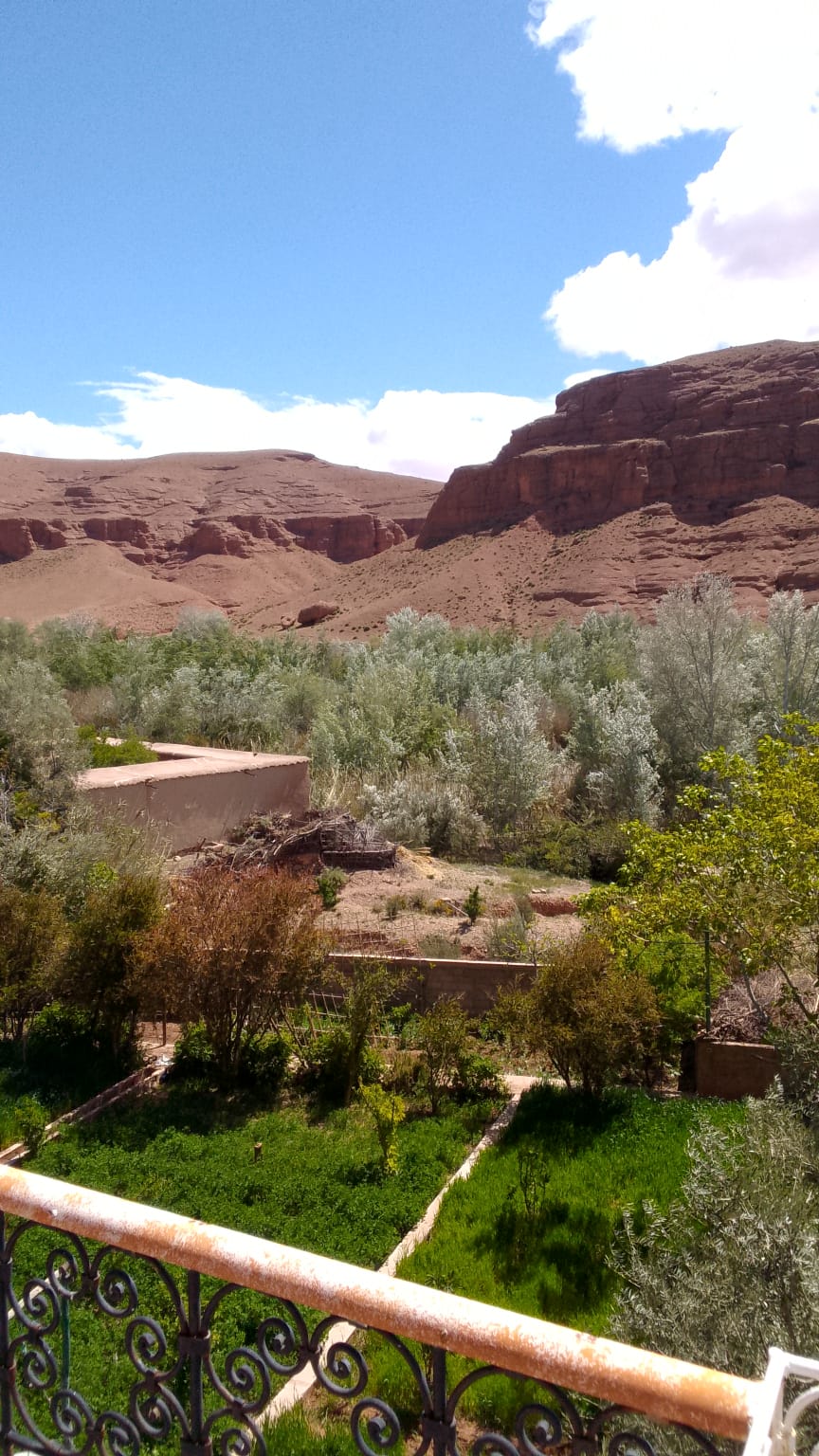 Vue panoramique depuis la terrasse